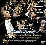 �h�r���b�V�[:�_�錀�s���Z�o�X�e�B�A���̏}���t�A�������s�C�t