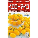 サカタのタネ 実咲野菜0105 イエローアイコ ミニトマト 00920105