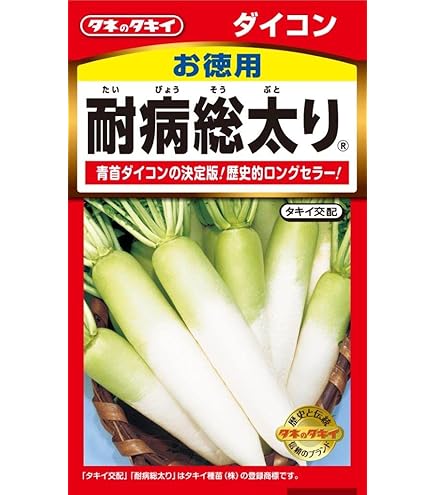 大根 だいこん | JAおいらせ