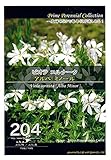 【種子】ビオラ　コルナータ　コルネット　Prime Perennial Collection　Life with Green
