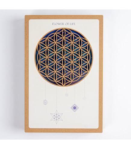 Amazon.co.jp: ヒグチユウコさん×将棋会館 御朱印帳 : 文房具