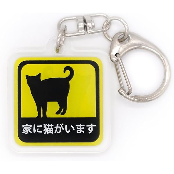 Amazon.co.jp: にゃんたまω : 芳澤 ルミ子: Japanese Books