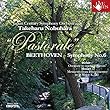 延原武春 日本センチュリー交響楽団 ベートーヴェン「田園」