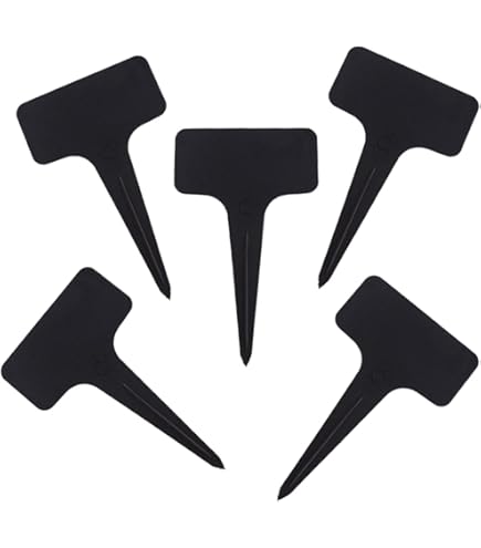 Amazon.co.jp: *獺祭久石譲ラベル 2本セット*弘兼憲史サイン入り