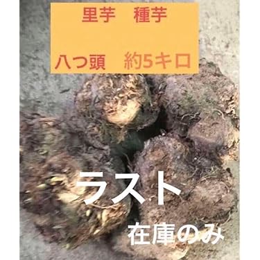 Amazon.co.jp 売れ筋ランキング: 里芋 の中で最も人気のある商品です