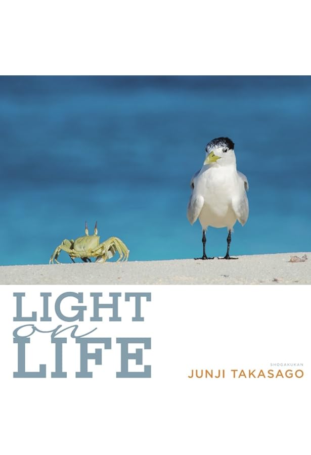 night rainbow 祝福の虹 | 高砂 淳二 |本 | 通販 | Amazon