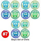 BOYS OWLS Baby Month Onesie Stickers Baby Shower Gift Photo Shower Stickers, baby shower gift by One