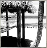 Straw hut &ハンモックB & W by Harold Silverman – ビーチ、Palms &灯台 18"x18" 68928-36-17FUSA
