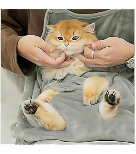 nana NANA 激レアマスコット ナナ猫 ハチ犬 Amazon.co.jp: NANA ナナ猫ハチ犬 ファスナーマスコット 付録 : ペット用品