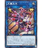 Amazon.co.jp: 遊戯王OCG フォッシル・ダイナ パキケファロ