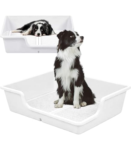 Amazon | DogLife 犬 トイレ トレー 大型犬 特大 スーパー ワイド