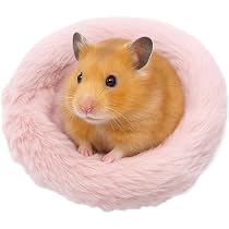 Amazon.co.jp: moin moin ゴールデン ハムスター キンクマ 鳥 インコ