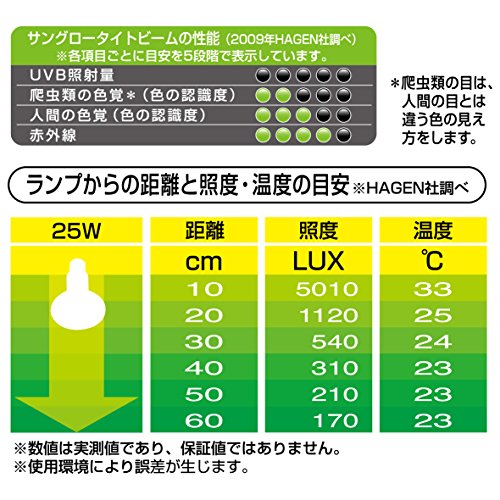 リクガメのバスキングライトの話 Favorite Creatures