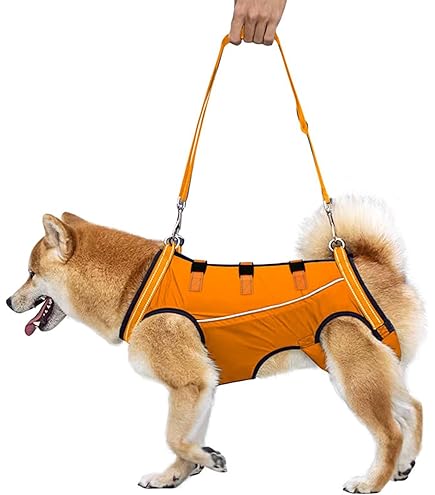 Assistant band 介護用ハーネス Sサイズ チェック柄　胴輪 Assistant band 介護用ハーネス Sサイズ チェック柄 胴輪 犬の