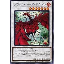 PSA10遊戯王 ブラックローズドラゴン 絵違い 25th クオシク 2種セット Amazon.co.jp: 遊戯王カード ブラック・ローズ・ドラゴン