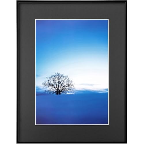 ハクバ HAKUBA 軽量 額縁 ZEROフレーム G-01 A3 ブラック FZG01-A3BK