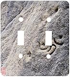 3drose LSP _ 107707 _ 2 Hinduist Om Sign Carved on Stone in Sa Pedrera Des Savinar、Hidden Place Know