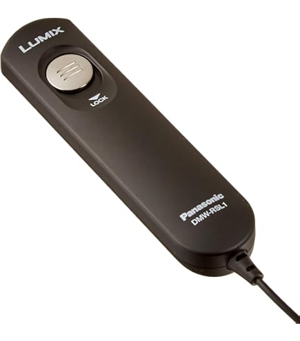 Amazon | パナソニック(Panasonic) 【メーカー純正品】 DMW-RS2