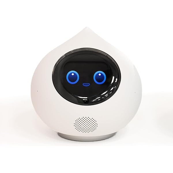 Amazon.co.jp: [Romi] のポンポン帽子（パープル） : ファッション