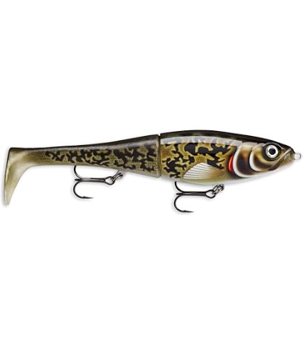 Amazon.co.jp: ラパラ ジャイアントルアー 75cm ジャイアンミノー RGL