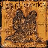 Remedy Lane [12 inch Analog]