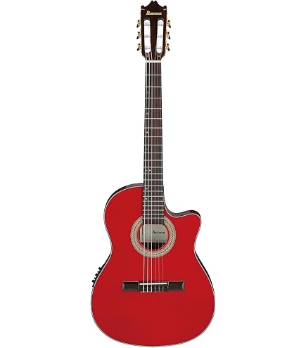 Amazon | Ibanez(アイバニーズ) エレガット Black Night High Gloss