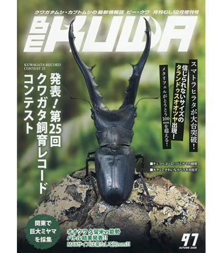 国産プロゼリー1500個KBファーム・カブトムシ　クワガタ 【木ぼく】 国産プロゼリー1500個KBファーム・カブトムシ クワガタ 【木ぼく