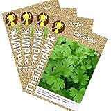 コリアンダー Thai Coriander Umbelliferae 4 Bulk ThailandMrk