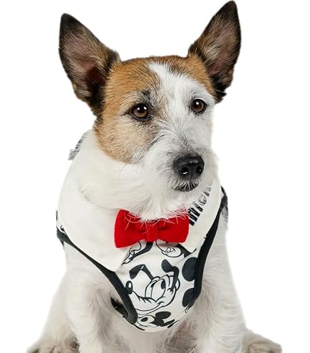 Amazon.co.jp: ペットパラダイス 犬 ハーネス 犬具 ディズニー トイ