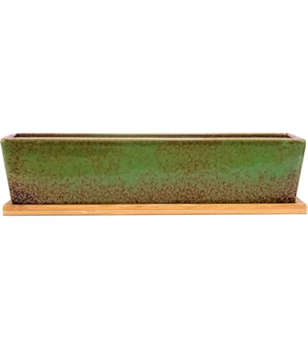 Amazon | 大和プラスチック 長方鉢(盆栽用) 8号 202×145×H60 ブラウン