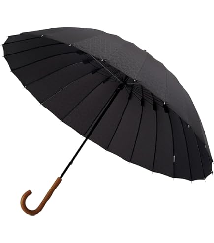 空港限定福井洋傘イイダ傘　高級傘くま　テディベア　限定傘　レア　ダッフィ 空港限定福井洋傘イイダ傘 高級傘くま テディベア 限定傘 レア