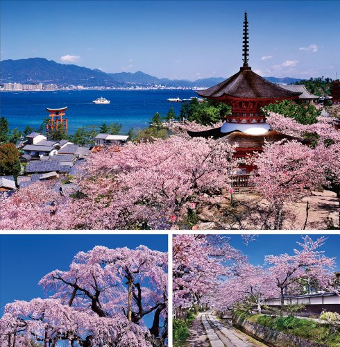 美しい日本 E (写真工房ポストカード / PS-019) 美しい日本 E (写真工房ポストカード / PS-019)