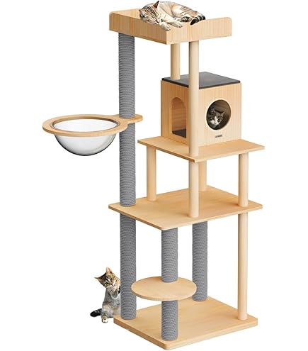 Amazon | オッポ (OPPO) キャットフォレスト ホワイト | オッポ (OPPO