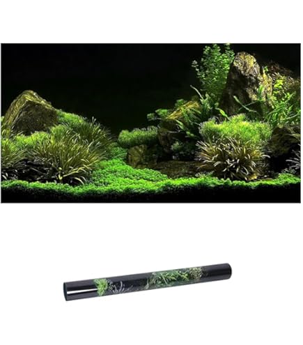 Amazon.co.jp: 3045 2枚 GEX バックボード エキゾテラ グラス