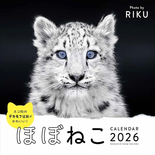 Amazon.co.jp: トラ 2026年 カレンダー / ブラウントラウト 輸入版