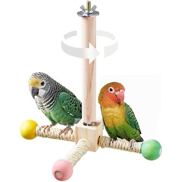 Amazon.co.jp 最新リリース: 鳥用止まり木 の新着ランキングです。