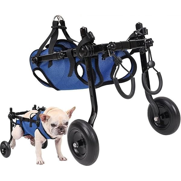 Amazon.co.jp: MIKEART 犬用車椅子 歩行器 車いす 後ろ足 2輪 歩行補助