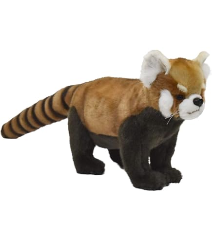 Amazon.co.jp: BH7252 HANSA レッサーパンダ37 : おもちゃ