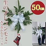 スワッグ クリスマス 玄関 手作り[樹氷スワッグ]生 50cm（玄関 玄関 飾り