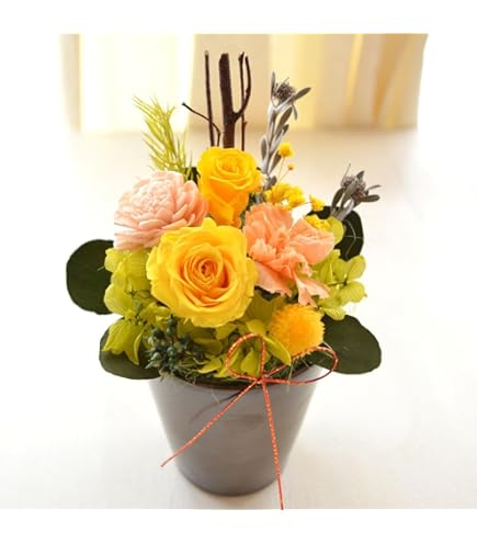 Amazon.co.jp: 大西結花『セキララ』プロマイド写真付き : ホーム