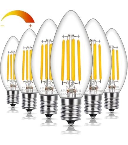 Amazon | Acidea LEDエジソン電球 低いボル電球 フィラメント