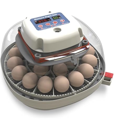 MATICOOPX 30 Egg Incubator with Humidity Display, Egg Candler
