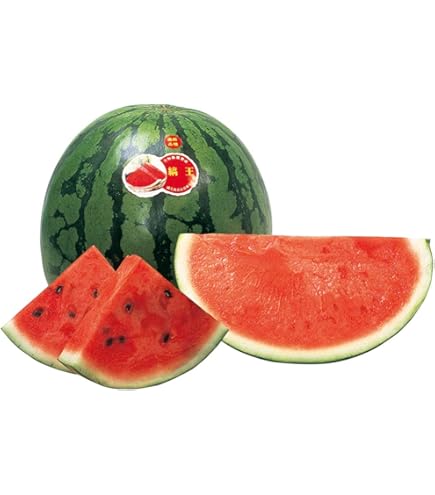 Amazon | スイカ 羅皇 らおう 9cmポット苗 接ぎ木 西瓜 | 野菜