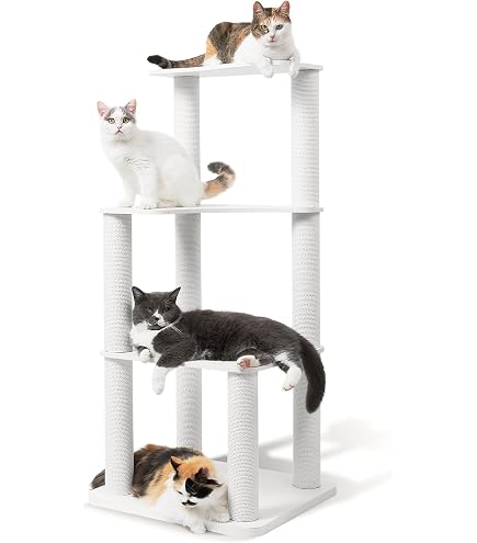 Amazon | Mauタワー ポム | Mau | キャットタワー 通販