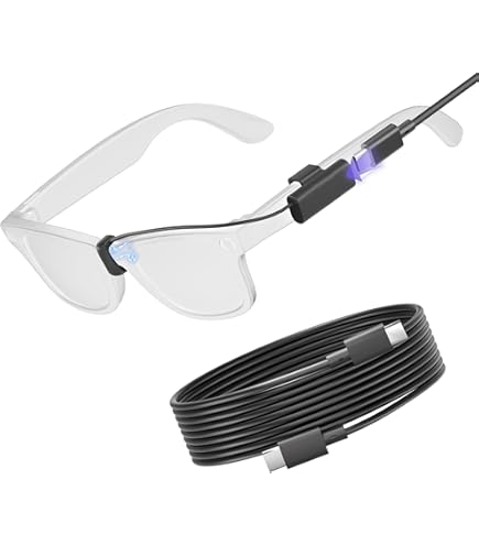 Amazon.co.jp: RayBan Meta Wayfarerスマートグラス用USB C充電器、Ray