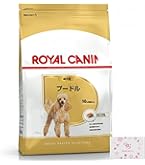 ロイヤルカナン BHN プードル 成犬用