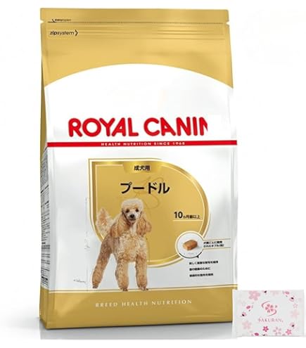 プードル　フード ロイヤルカナン BHN プードル 成犬用 ドッグフード