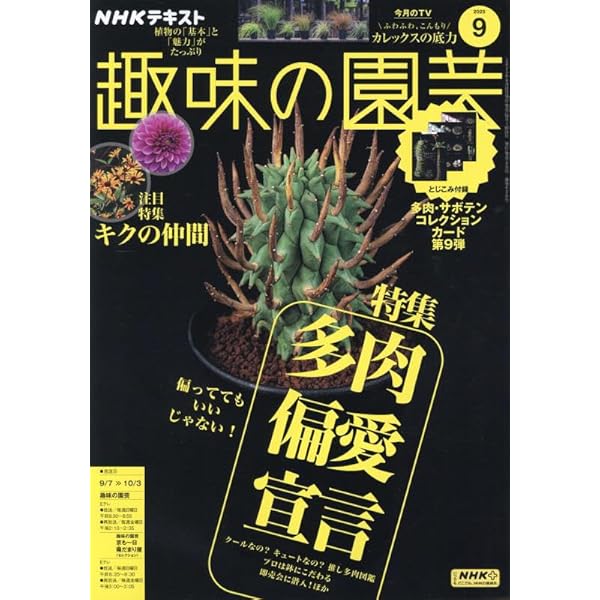 ㉒多肉植物 (NHK趣味の園芸12か月栽培ナビ 22) | 長田 研 |本 | 通販