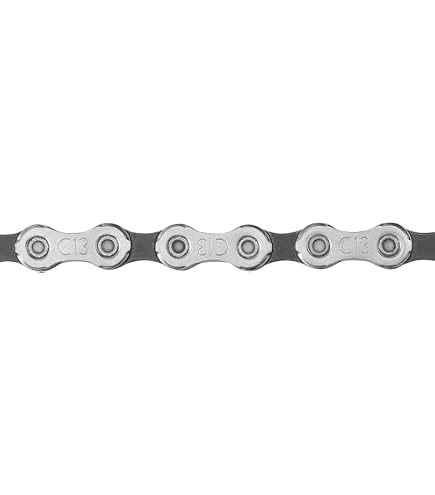Amazon | カンパニョーロ(Campagnolo)EKAR 9-42T 13S | カンパニョーロ