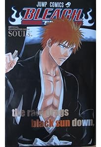 BLEACH OFFICIAL BOOTLEG カラブリ+ (ジャンプコミックス) | 久保 帯人